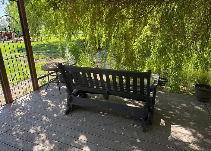 Willow Pond Cabin - Farm Views & Country Escape