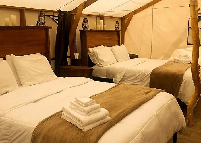 Tent 6