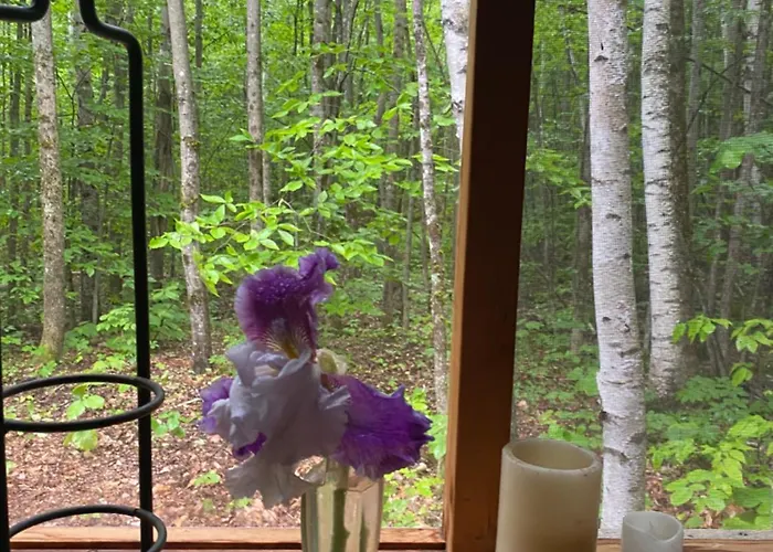 Enchanted Forest Cabin