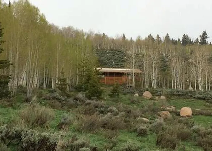 Luxury Mountain Getaway Near Routt National Forest In Colorado