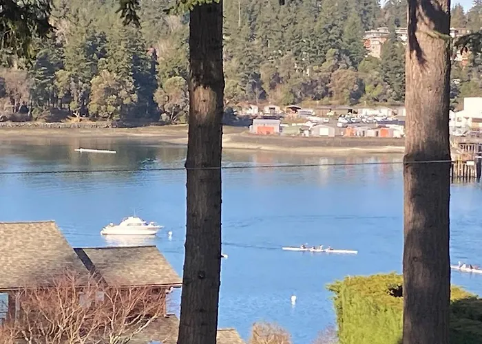 The Perch At Eagle Harbor
