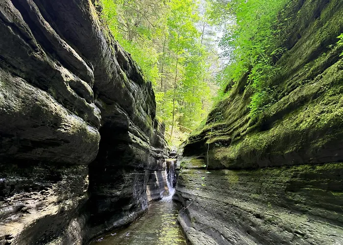 Seneca Gorge Glamping