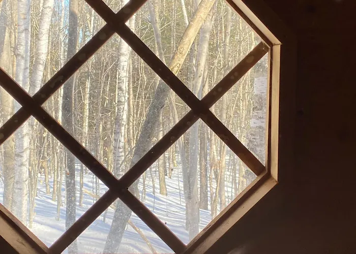 Enchanted Forest Cabin