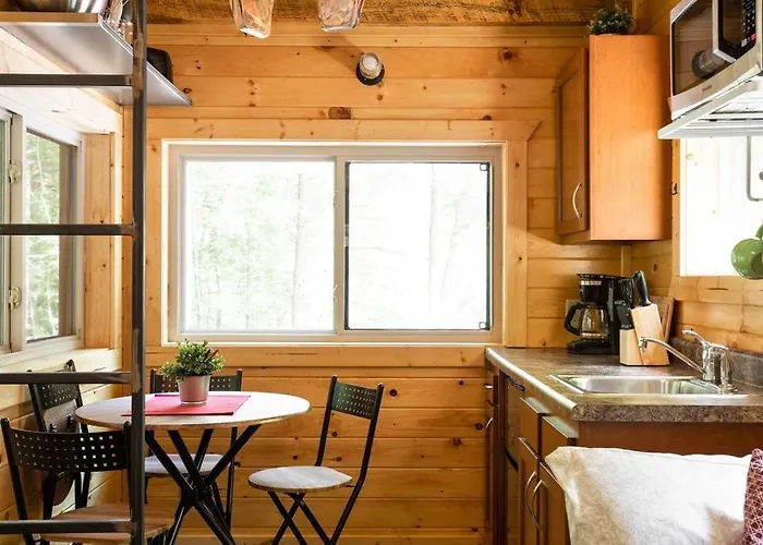 Theodore Tiny Cabin- Rrg Hot Tub Pet Friendly