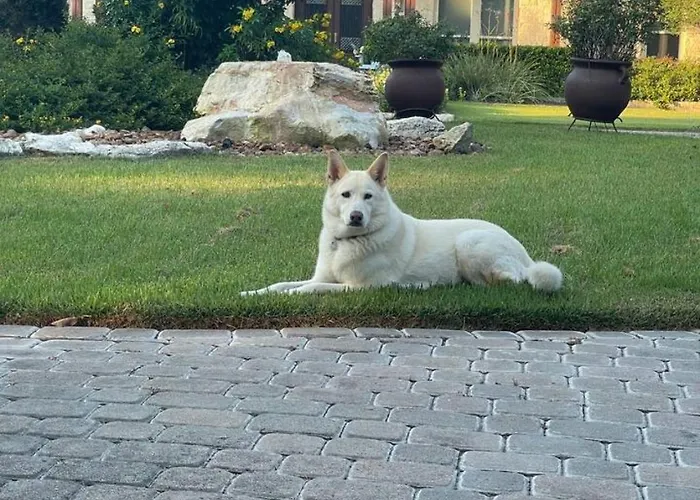 Buda Garden Getaway