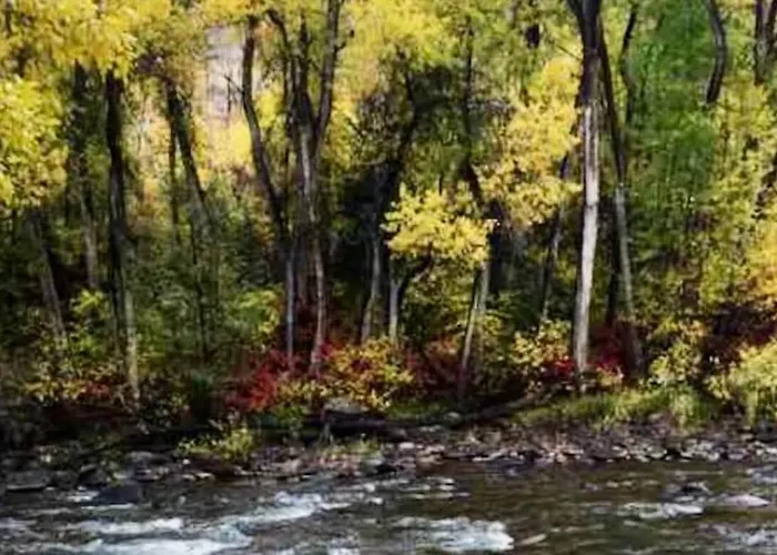 Clear Water Mountain Cabins- Bear Cabin