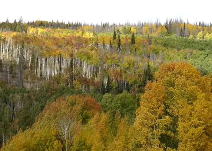 Luxury Mountain Getaway Near Routt National Forest In Colorado