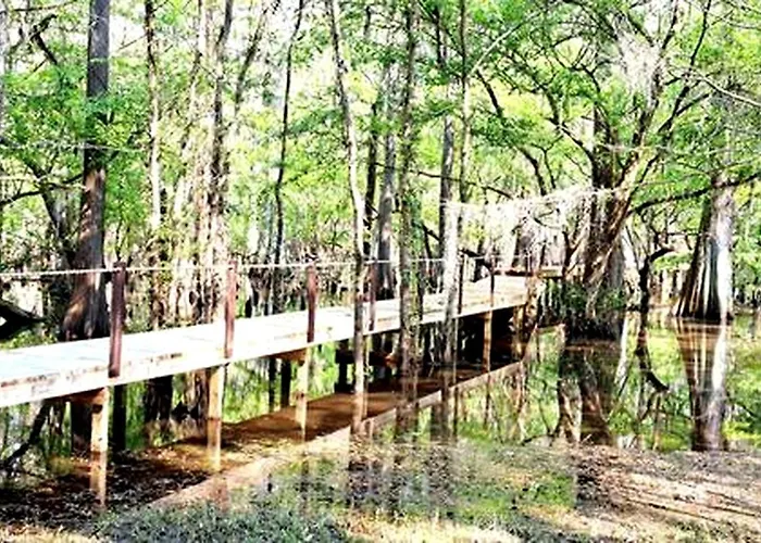The Knee Knocker On Caddo Lake: Family Cabin Near Karnack, Texas