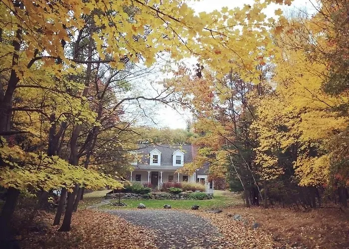 Country Escape On 3 Acres With Big Backyard, Wet Sauna, Projector