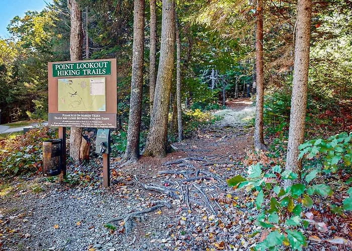 Dog-Friendly Nature Lovers Retreat With Fireplace, Wifi, Ac & Playground