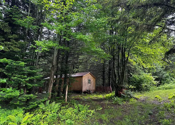 Lookout Cabin
