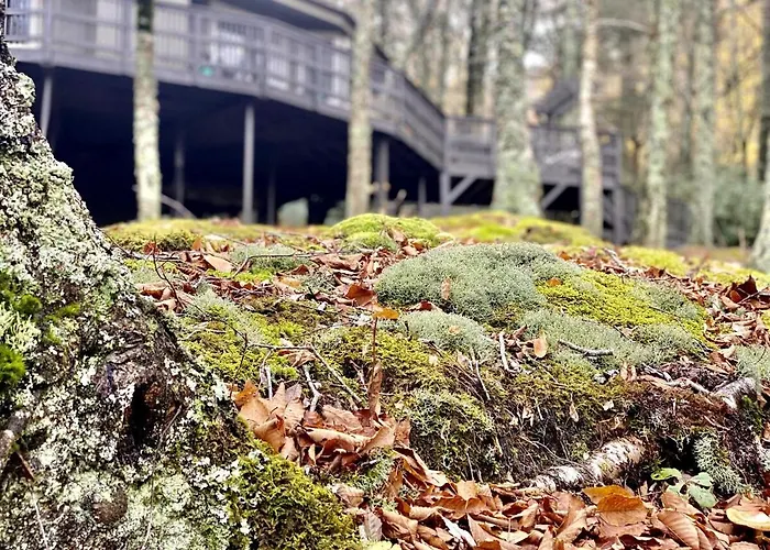 Amazing Treehouse Chalet At Sugar Mountain Resort