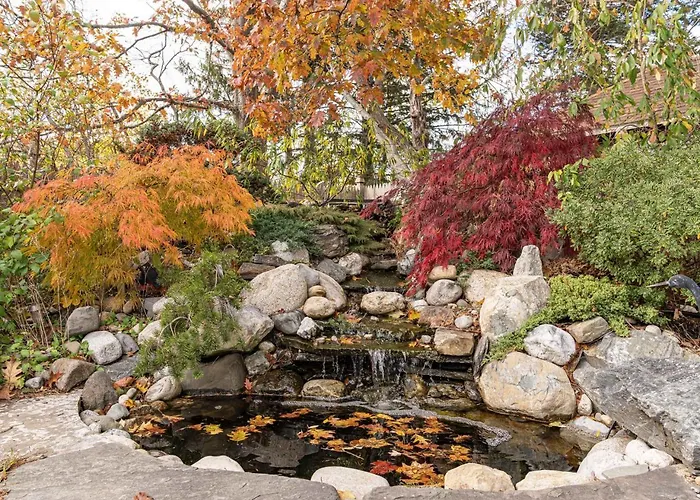 Forest City Oasis And Spa