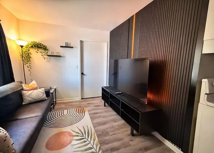 Safari Stay 5 Mins To Anmed Elements Collection