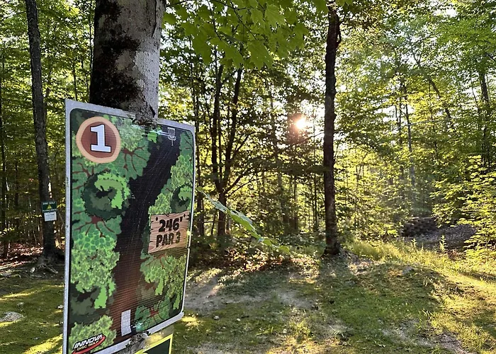 Off-Grid Treehouse White Mountain National Forest