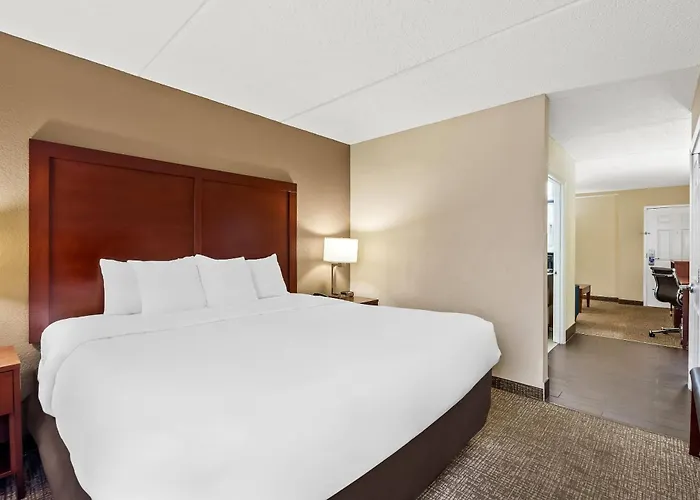 Comfort Inn & Suites Panama City - St Andrew