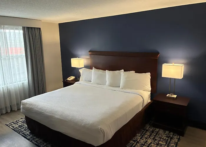 Euro-Suites Hotel