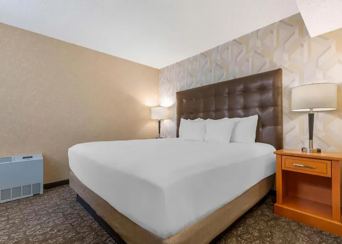 Drury Plaza Hotel St Louis Union Station