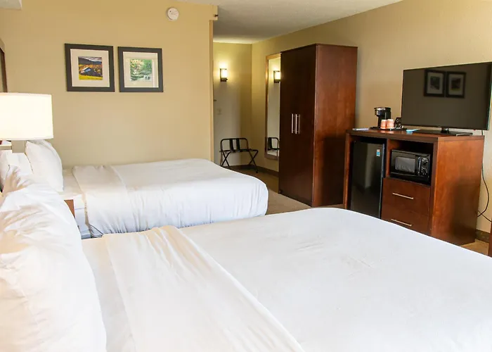 Comfort Inn & Suites Near Danville Mall