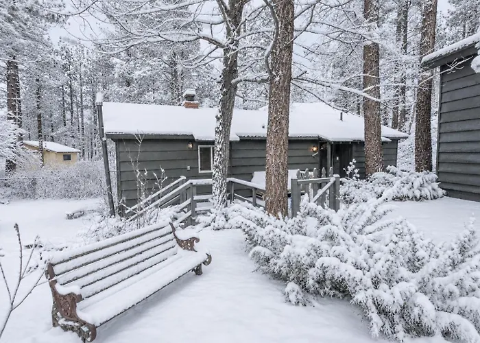 Dark Pine Retreat - Romantic Getaway, Fireplace, Deck, Barbecue
