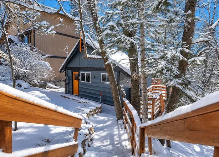 Forest Escape - Secluded Feeling, Forest Views, Fireplace, Deck