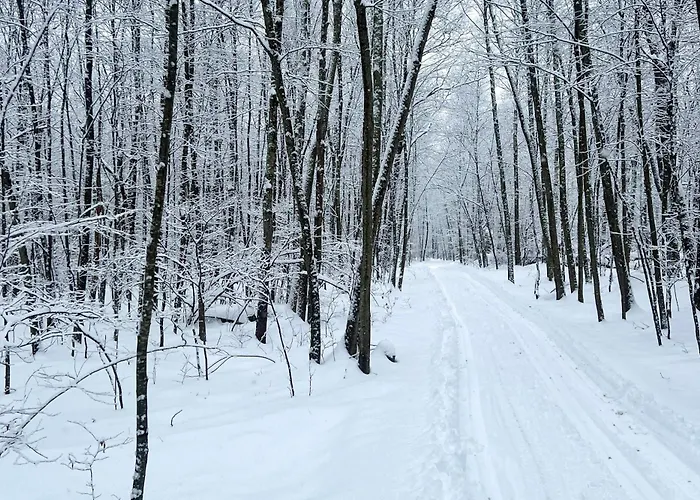 Secluded Poconos Cabin: 75 Acres & Fire Pit!