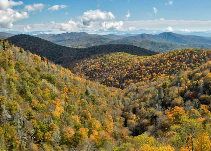 Cozy Mountain Cabin With Fireplace, Creekside Views, Outdoor Fire Pit In Hot Springs