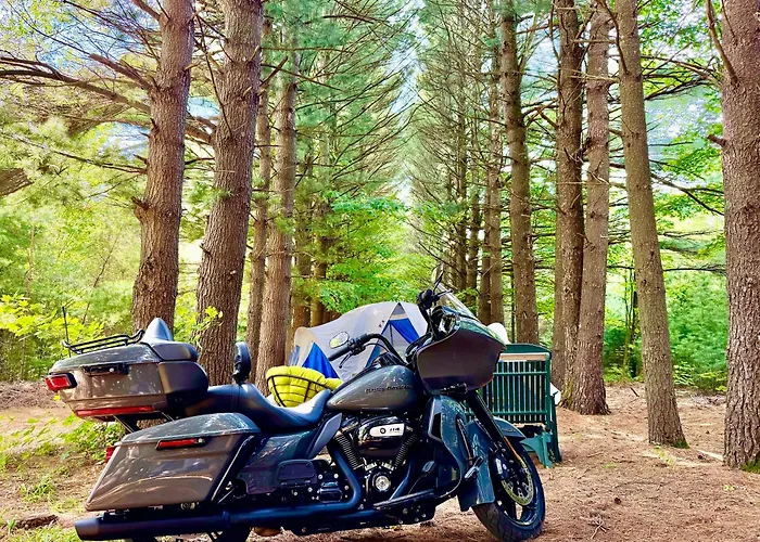 Byo Tent Or Rv To Camp Squid