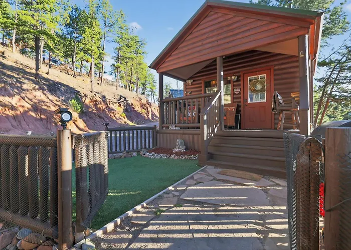 Hummingbird Heaven In Woodland Park Co Mountain Cabin