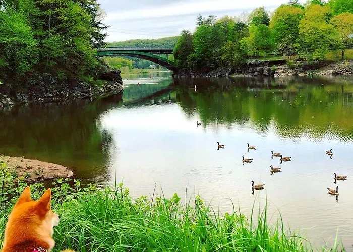 Lovely Room For A Romantic Weekend Getaway In Narrowsburg, New York
