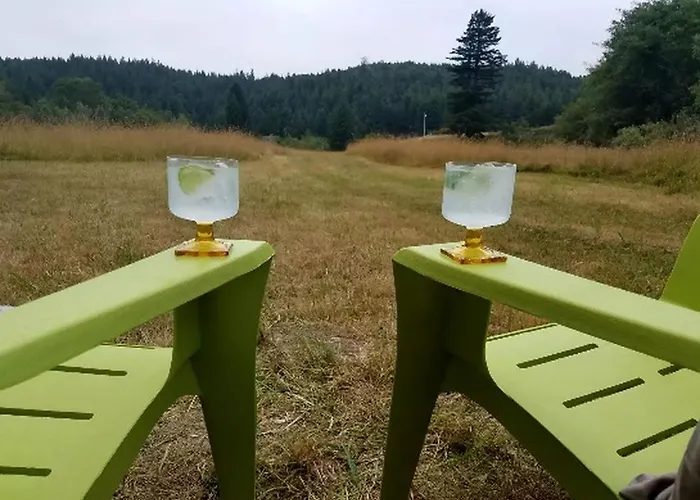 Cozy Campervan Rental On The Banks Of The Elk River In Eureka, California