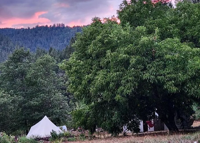 Cozy Off-Grid Bell Tent Glamping Retreat On A Regenerative Farm In Willow Creek, California
