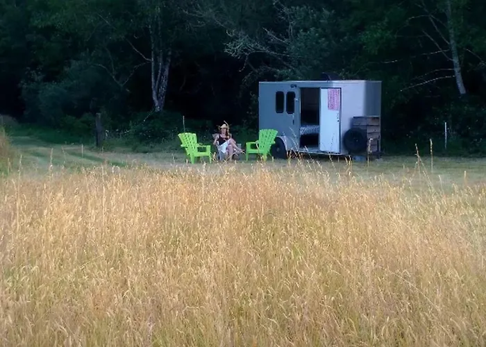 Cozy Campervan Rental On The Banks Of The Elk River In Eureka, California