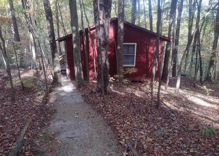 Thunder Ridge Cabins B&B - Otter Lodge