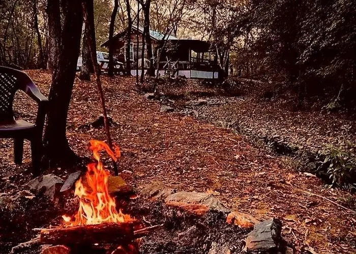 Creekside Cabin Retreat With Hot Tub & Fire Pit In Caddo Gap, Arkansas