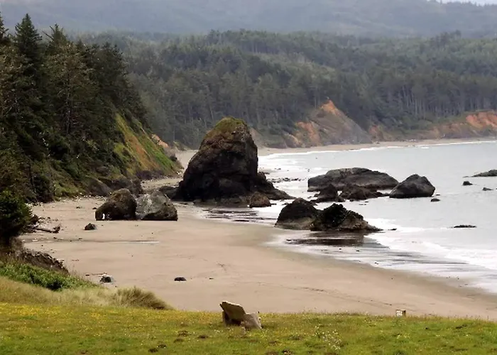 Cozy Campervan Rental On The Banks Of The Elk River In Eureka, California