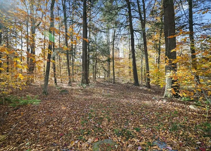 Family Friendly Cabin With A Firepit And A Hot Tub In Heart Of Poconos