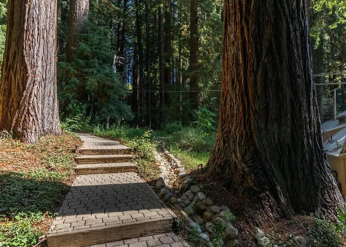 Stay Alpha Home • Modern Redwood Retreat With Pool