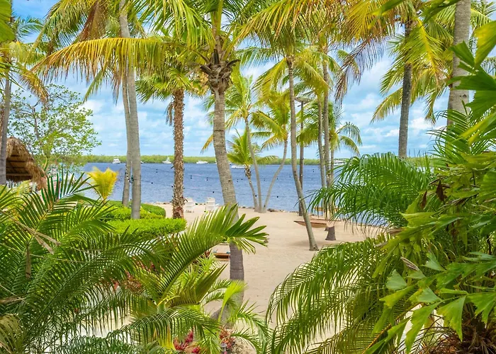 Coconut Palm Inn