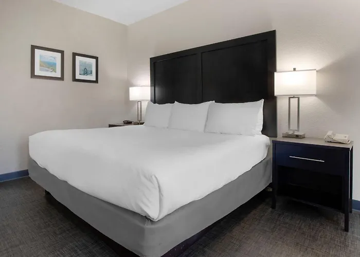 Comfort Inn & Suites Greer - Greenville
