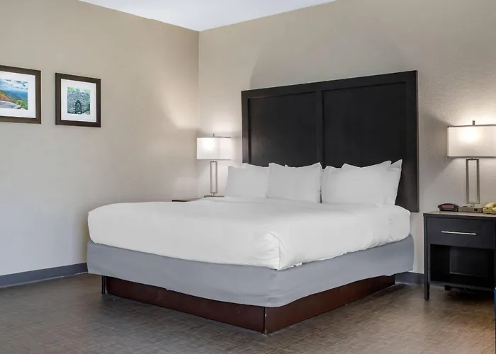 Comfort Inn & Suites Greer - Greenville