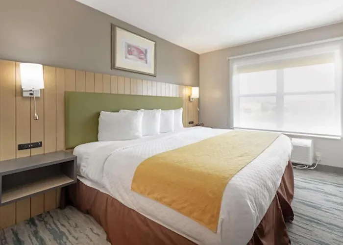 Surestay By Best Western Lewisville Dallas