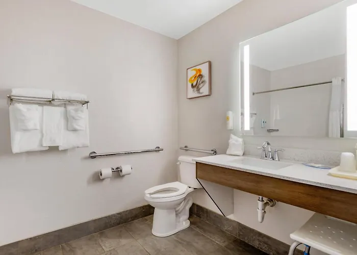 Comfort Inn & Suites Clemson - University Area