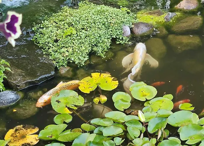 Trickling Waters Retreat