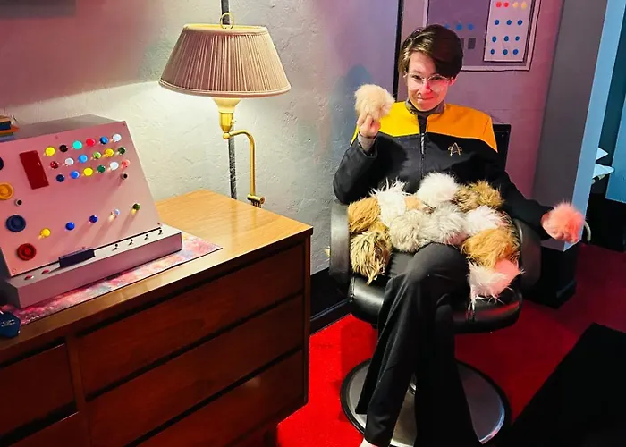 The Star Trek - Uss Enterprise Room At The Itty Bitty Inn