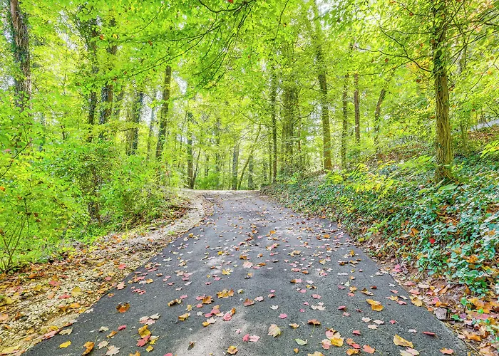 Family-Friendly Knoxville Home: Close To Ut!