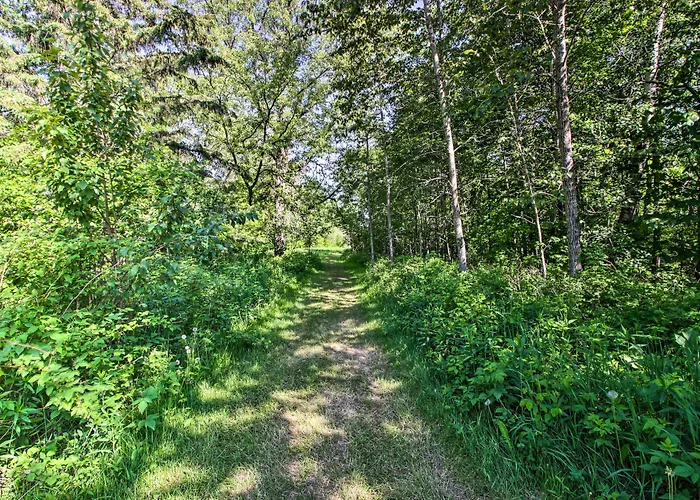 Bungo Creek Retreat W/ Multi-Use Trails & A Creek