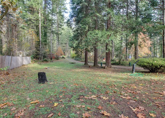 Peaceful Mckenzie River Retreat: Fish, Hike, & Ski