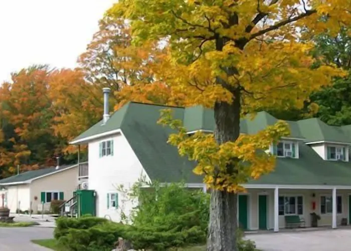 Maple Lane Empire