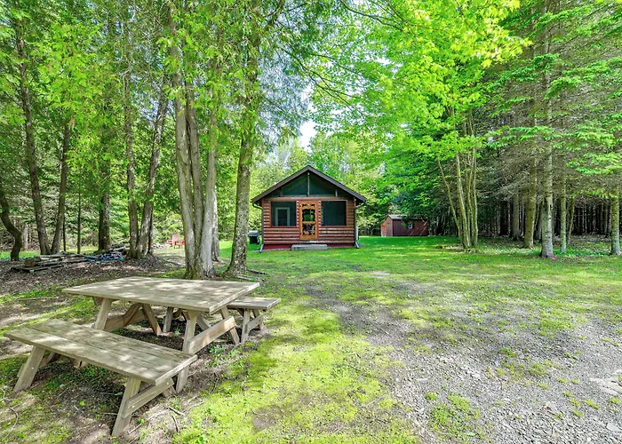 'Cardinal Pines' Cabin On 8 Acres - Dog Friendly!